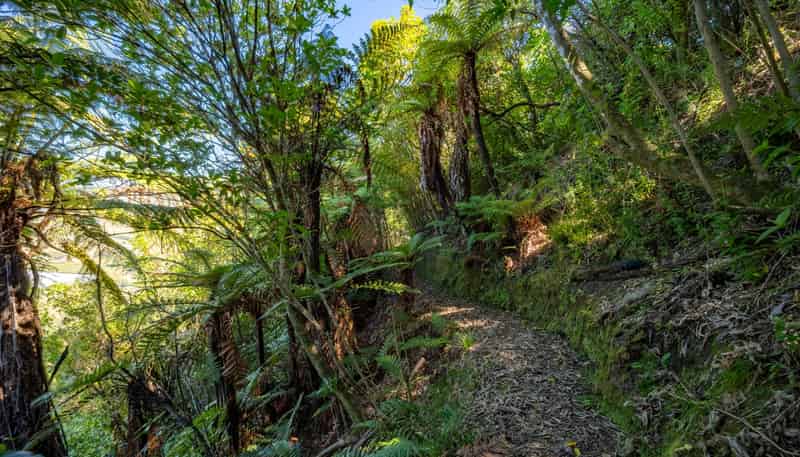 177 Riwaka-Sandy Bay Road, Riwaka