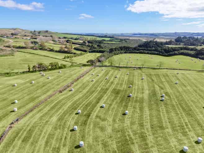 4193 Kaipara Coast Highway, Wellsford