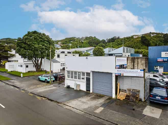 Own & occupy with income