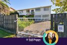 111 Riwai Street, Paraparaumu, Kapiti Coast, Wellington