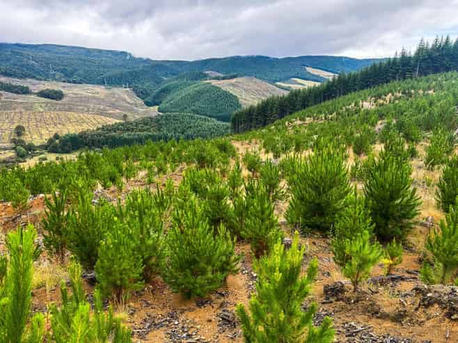  683 Howard Valley Road, St Arnaud