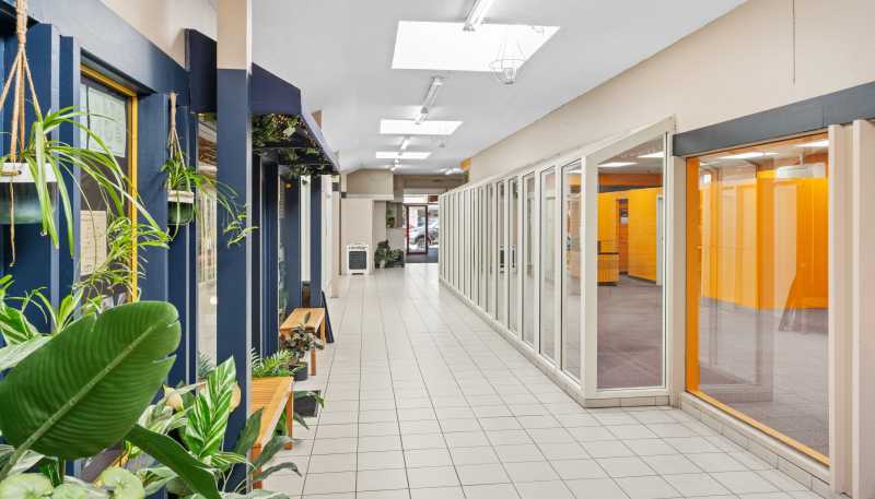 50-54 Tarbert Street, Alexandra