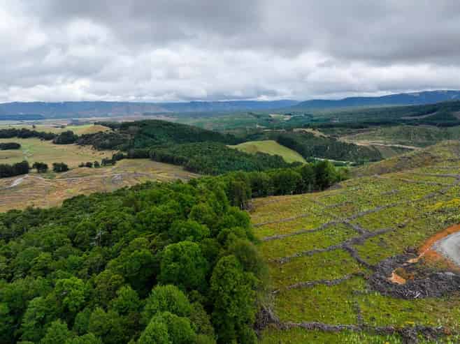  652 Howard Valley Road, St Arnaud