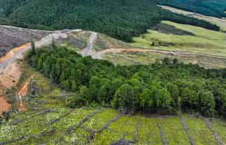  652 Howard Valley Road, St Arnaud