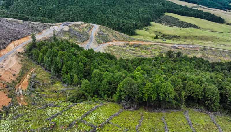  652 Howard Valley Road, St Arnaud