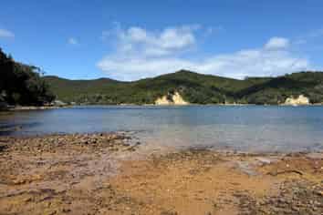 169 Shoal Bay Road, Great Barrier Island