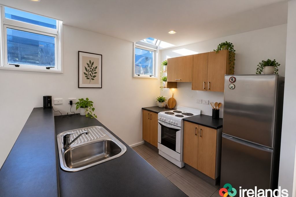 Freshly Renovated City Living Opposite Cranmer Square - Vista 3