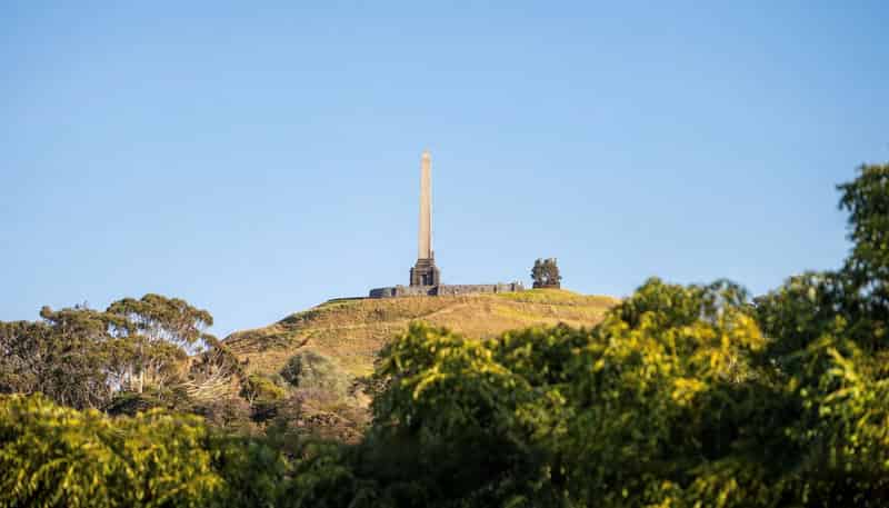 197C Campbell Road, Greenlane