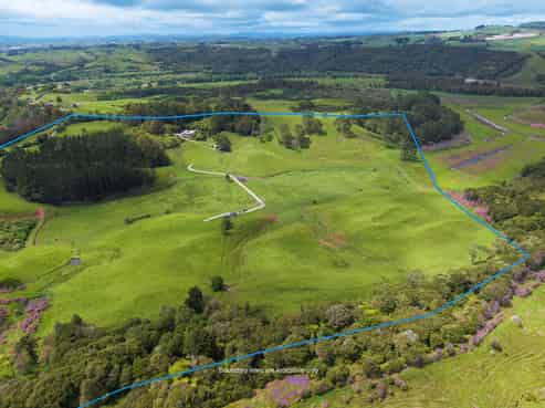 316 Bluff Road, Pokeno