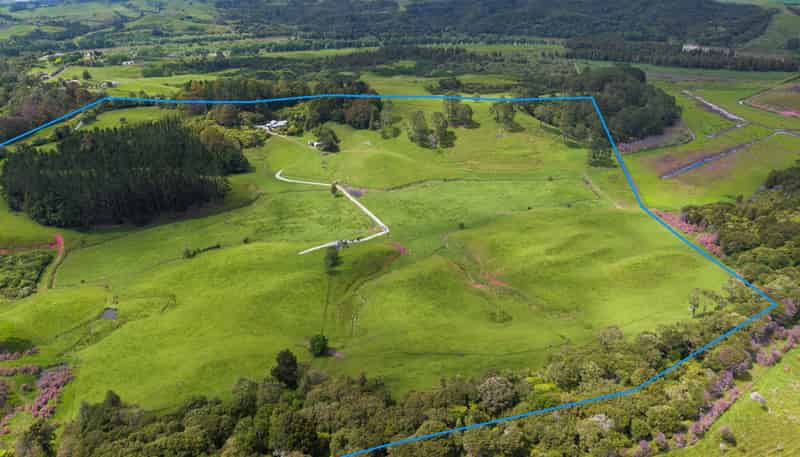 316 Bluff Road, Pokeno