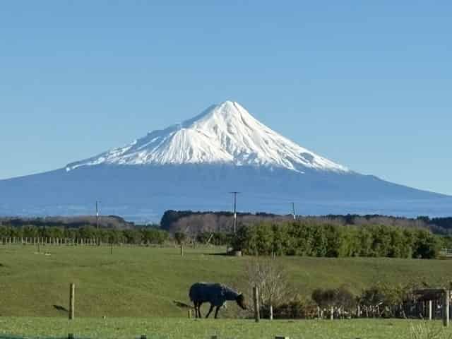 239 Whakamara Road, Manutahi, Hawera