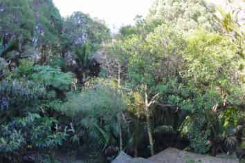 Auckland - Address withheld