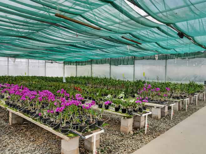 694 Mangakahia Road, Poroti