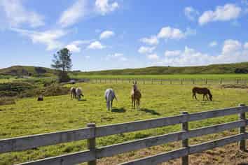 Lot 5 Whio Grove, Hokio Beach