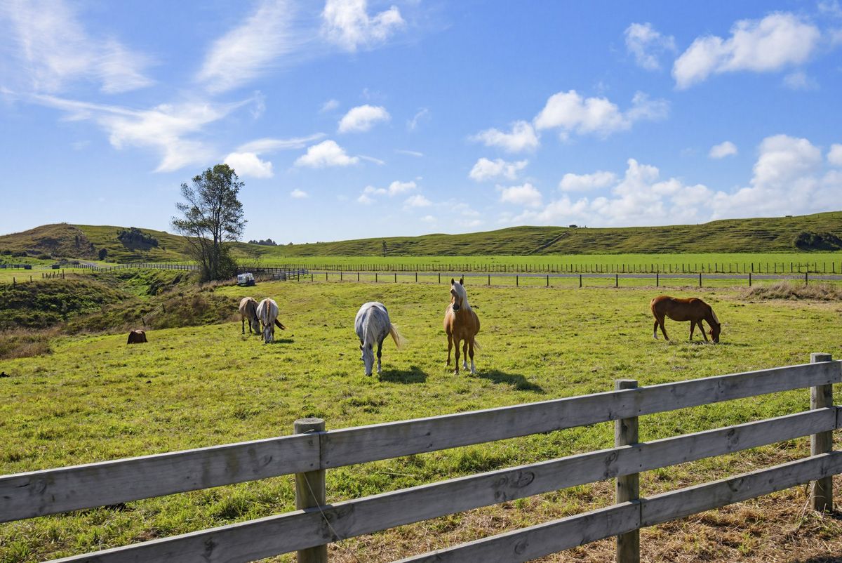 Waiwiri Springs - Lot 5 - 1.2039ha – pohled 6
