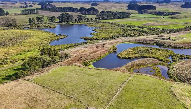 Lot 8 Whio Grove, Hokio Beach