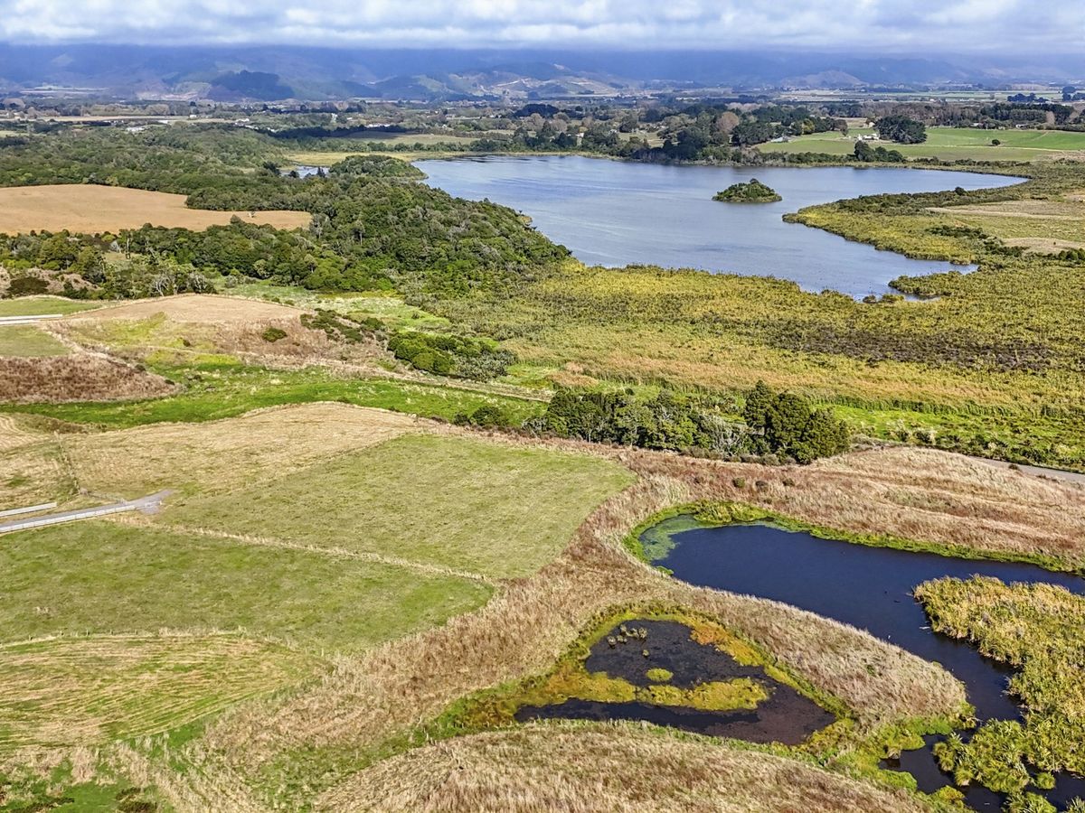 Waiwiri Springs - Lot 9 - 0.7288ha - Ansicht 6