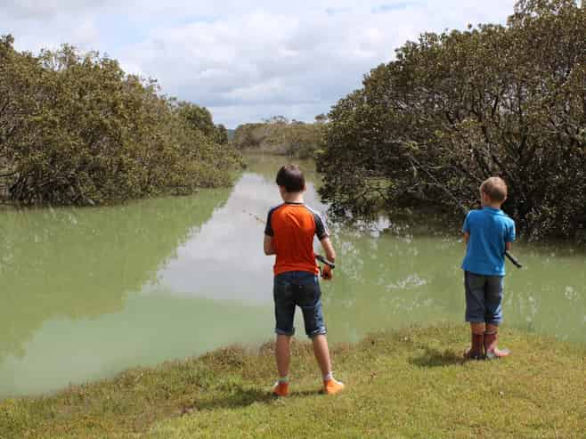 4127 Kaipara Coast Highway, Wellsford