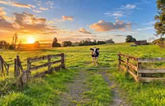 197 Charles Road, Karaka