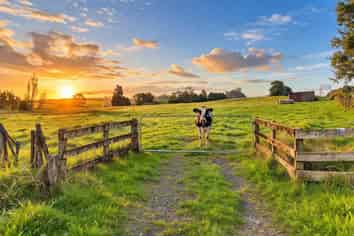197 Charles Road, Karaka