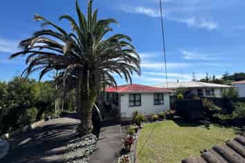 420 & 422 Don Buck Road, Massey