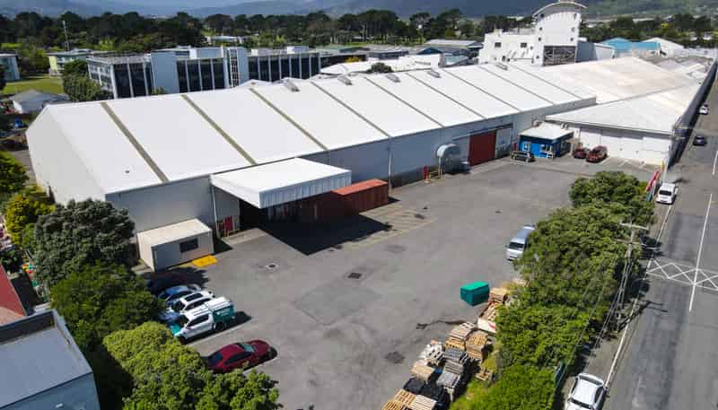 38 East Street, Petone