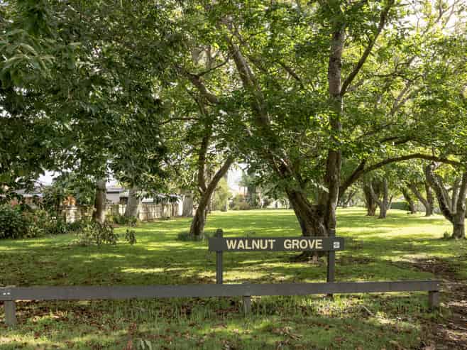 2 Walnut Grove, Omokoroa