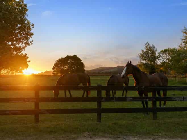 197 Papakura-Clevedon Road, Clevedon