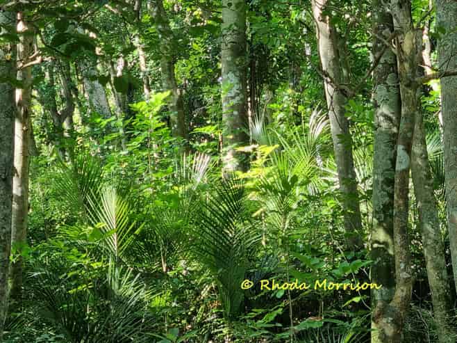 47 Andrae Lane, Maungaturoto