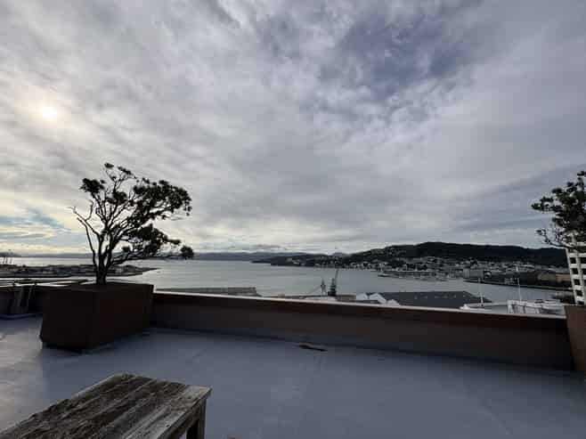 326sqm @ 171 Featherston