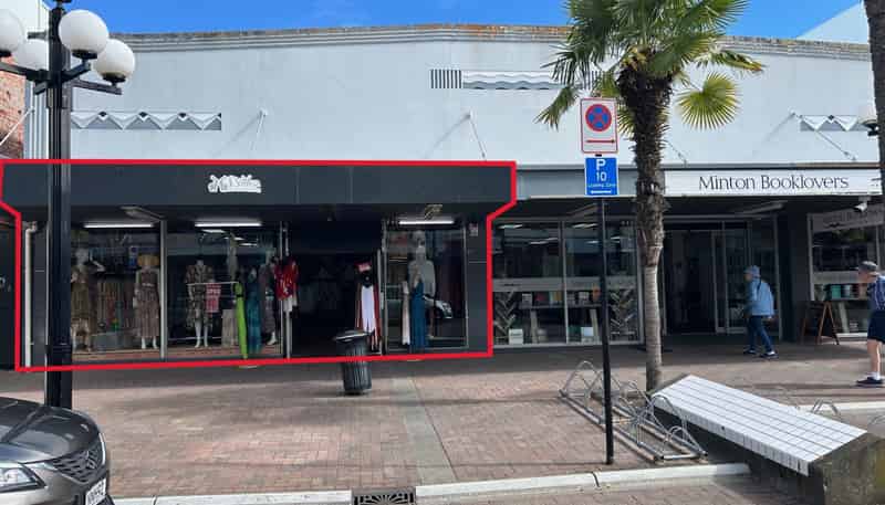 246 Emerson Street, Napier South