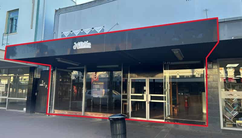 246 Emerson Street, Napier South
