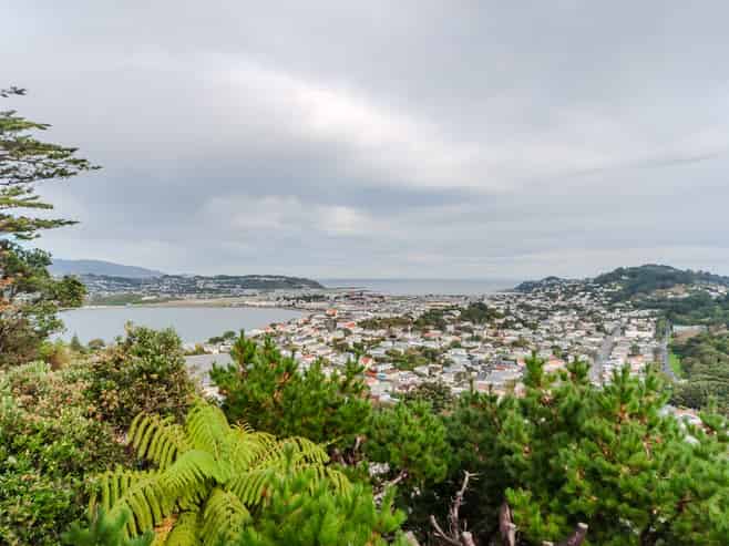 4/16 Marewa Road, Hataitai