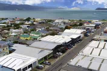 PETONE WAREHOUSE WITH TENANCY