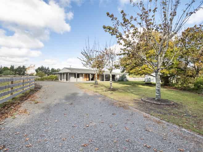 363 Brandon Hall Road, Bulls