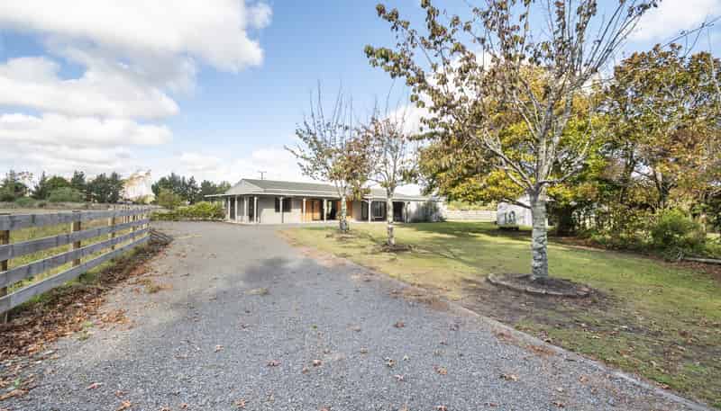 363 Brandon Hall Road, Bulls