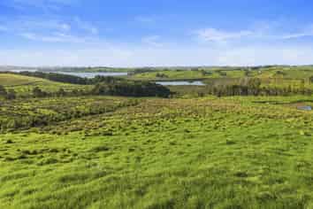 Lot 2/186 Metcalfe Road, Matakohe