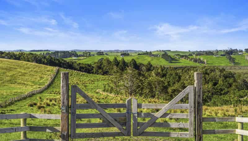 Lot 4/186 Metcalfe Road, Matakohe