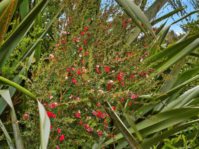 Lot 5, 115 Screen Road, Coatesville