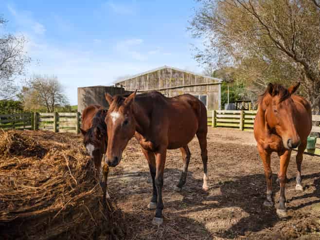844 Wairamarama Onewhero Road, Onewhero