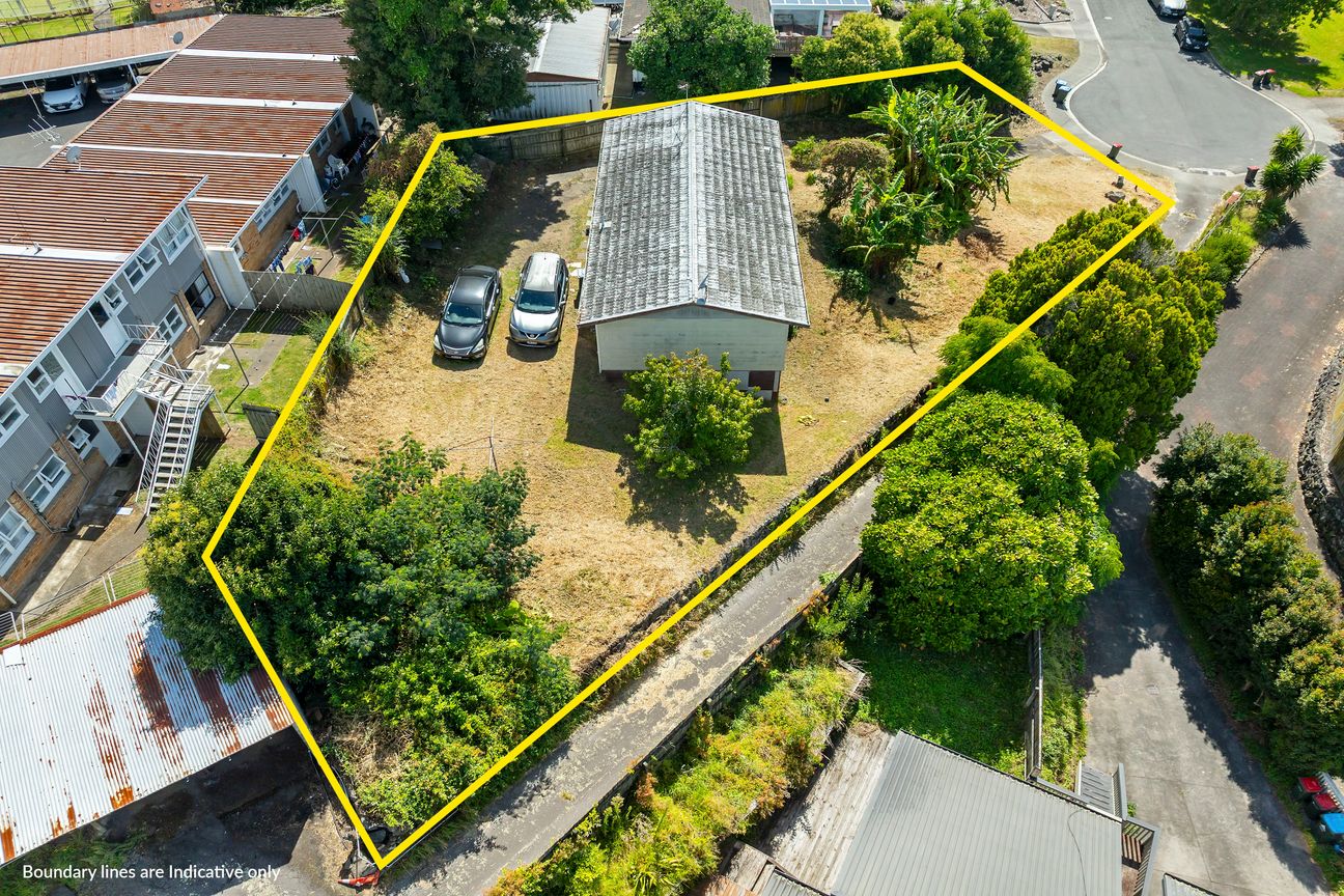 Renovate or Develop on 850sqm - Widok 3
