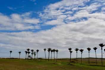 904 Karamea Kohaihai Road, Karamea