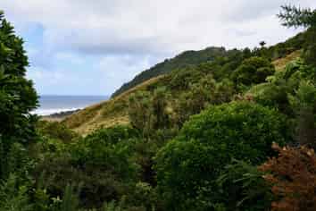 904 Karamea Kohaihai Road, Karamea