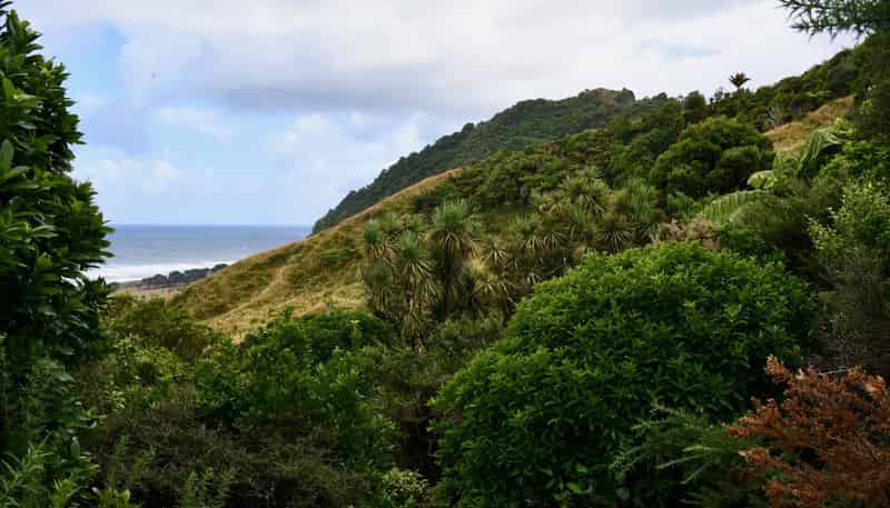 904 Karamea Kohaihai Road, Karamea
