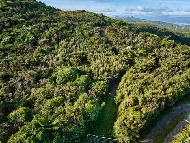 81D Kaitangata Crescent, Kelson