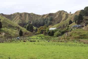 4869 Ohura Road, Pohokura