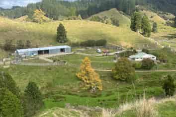 4869 Ohura Road, Pohokura