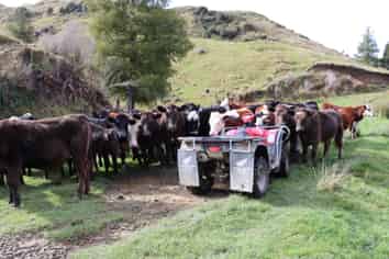 4869 Ohura Road, Pohokura