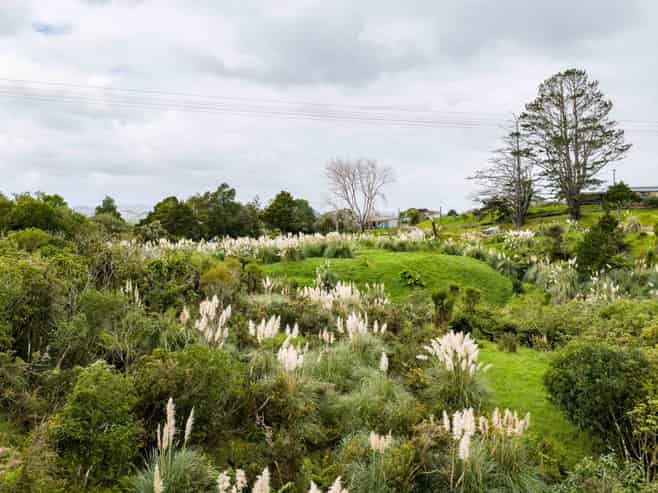 3044 Paparoa-Oakleigh Road, Paparoa, Paparoa