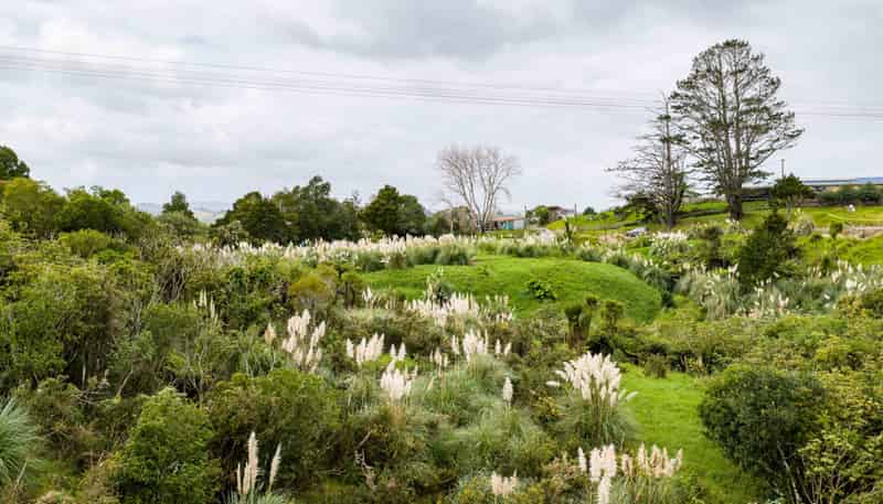 3044 Paparoa-Oakleigh Road, Paparoa, Paparoa